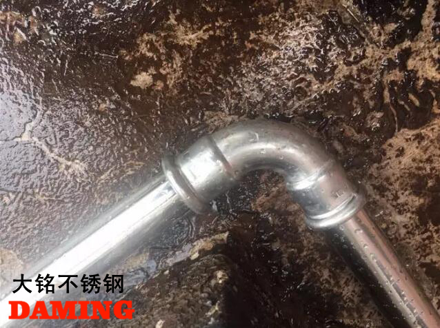 榴莲视频WWW在线观看榴莲APP破解版安装包給水管