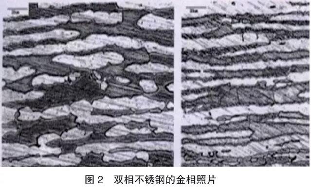 榴莲视频WWW在线观看榴莲APP破解版安装包