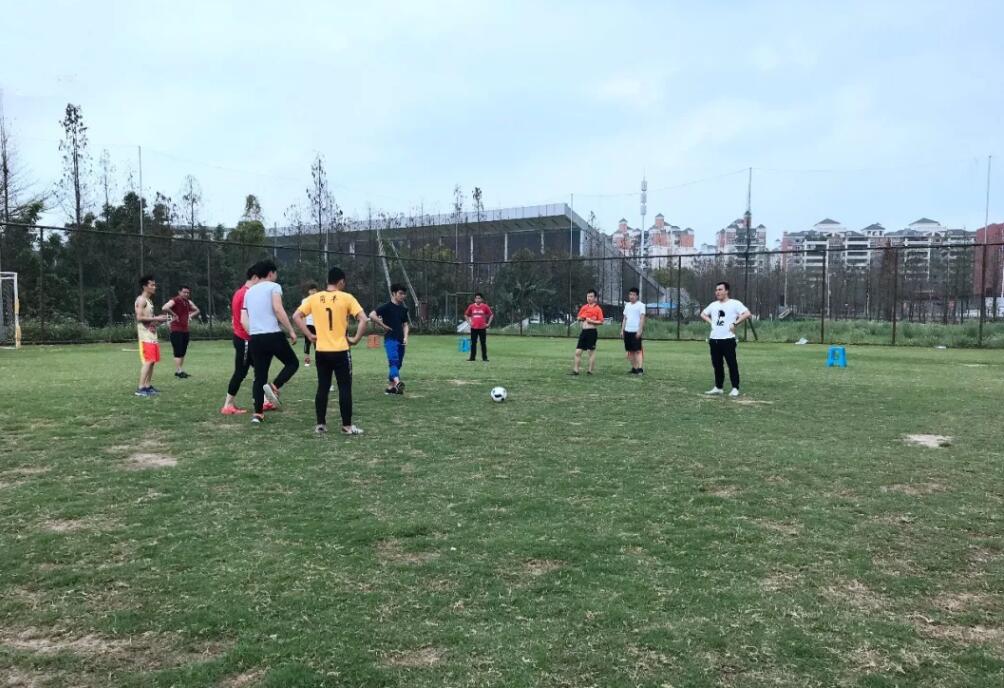 榴莲视频WWW在线观看榴莲APP破解版安装包足球比賽