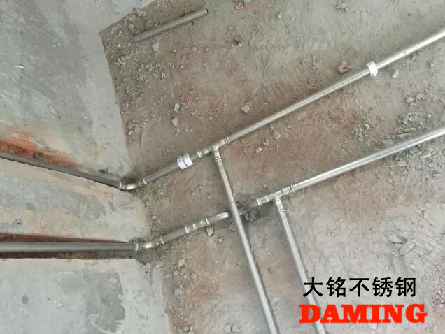 榴莲视频WWW在线观看榴莲APP破解版安装包