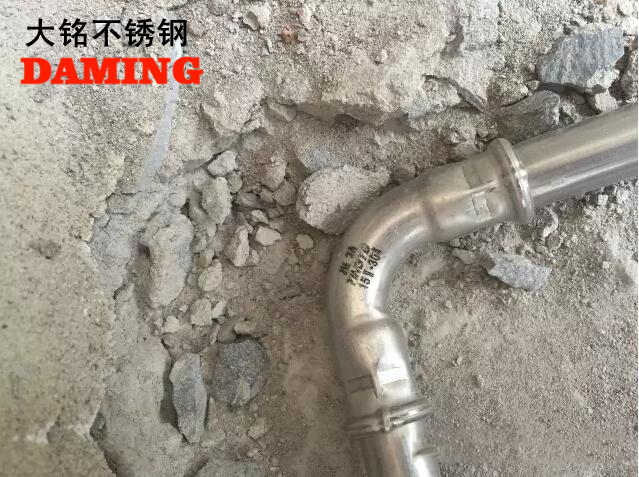 榴莲视频WWW在线观看榴莲APP破解版安装包