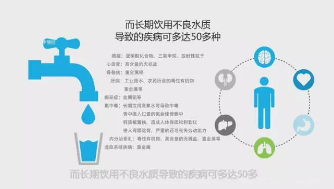 榴莲视频WWW在线观看榴莲APP破解版安装包
