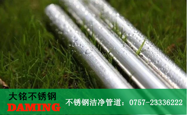 薄壁榴莲APP破解版安装包水管