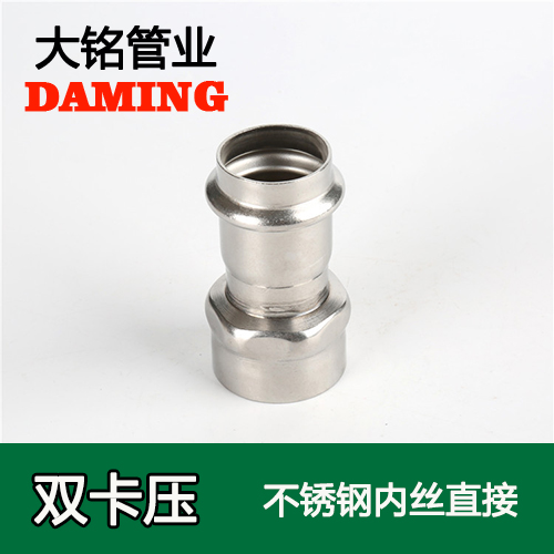 DN20*1/2 榴莲APP破解版安装包內絲轉換直通四分接頭（304 316L）