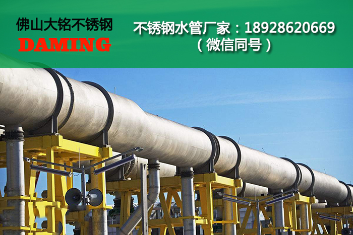榴莲视频WWW在线观看榴莲APP破解版安装包