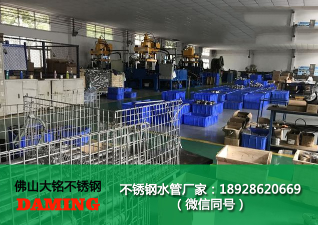 榴莲视频WWW在线观看榴莲APP破解版安装包