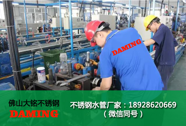 榴莲视频WWW在线观看榴莲APP破解版安装包