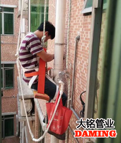 榴莲视频WWW在线观看榴莲APP破解版安装包