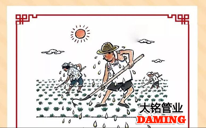 榴莲视频WWW在线观看榴莲APP破解版安装包