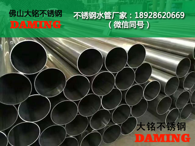 榴莲视频WWW在线观看榴莲APP破解版安装包