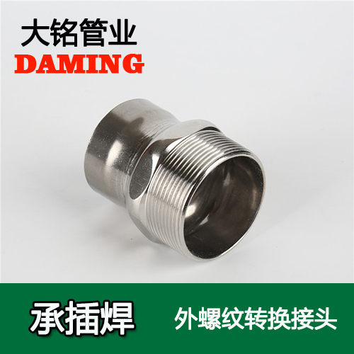 DN65*2-1/2 承插焊接式榴莲APP破解版安装包外螺紋轉換接頭（304 316L）