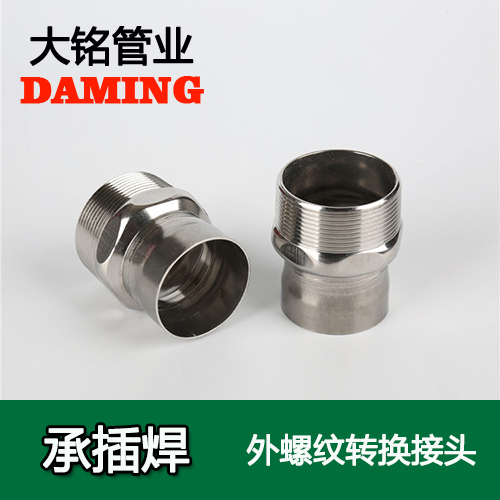 DN50*2 承插焊接式榴莲APP破解版安装包外螺紋轉換接頭（304 316L）