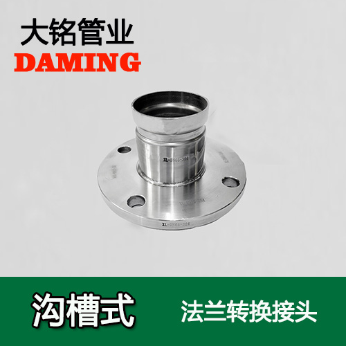 DN250 溝槽式榴莲APP破解版安装包法蘭轉換直通接頭（304 316L）