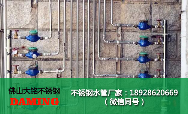 佛山榴莲视频WWW在线观看榴莲APP破解版安装包