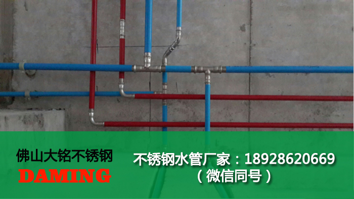 佛山榴莲视频WWW在线观看榴莲APP破解版安装包管業