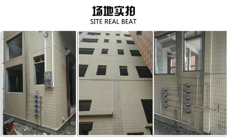 316L衛生級榴莲APP破解版安装包水管