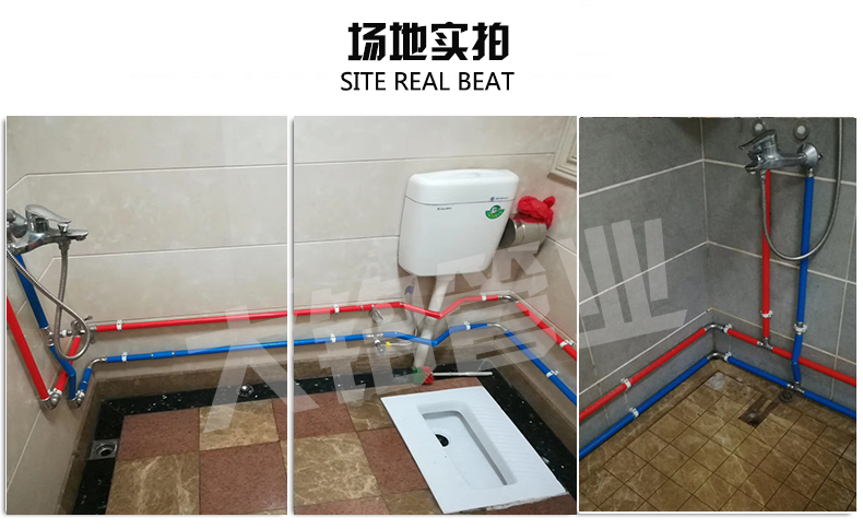 316L環壓榴莲APP破解版安装包水管