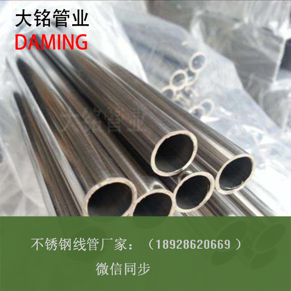 榴莲APP破解版安装包線管