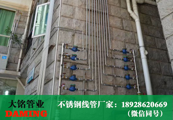 榴莲APP破解版安装包線管