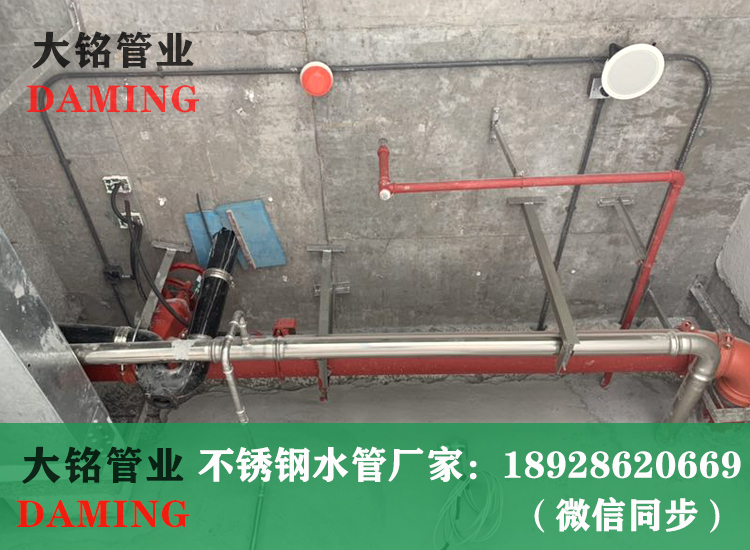 316L榴莲APP破解版安装包卡壓管