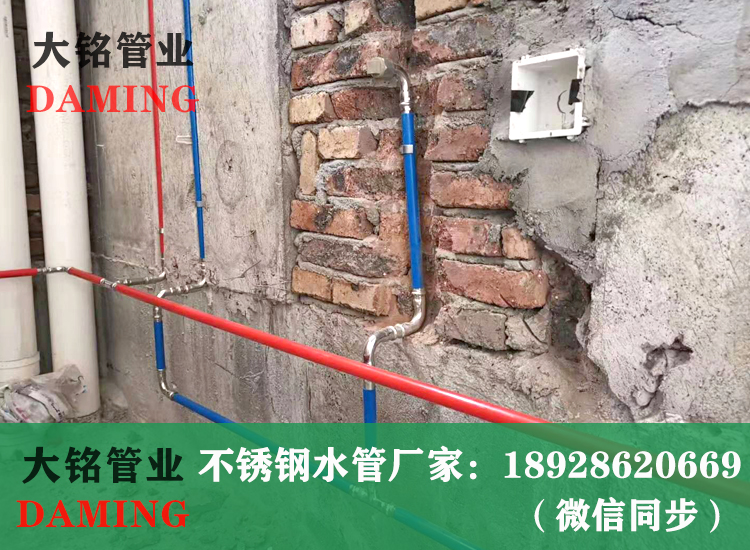 316PE覆塑榴莲APP破解版安装包管