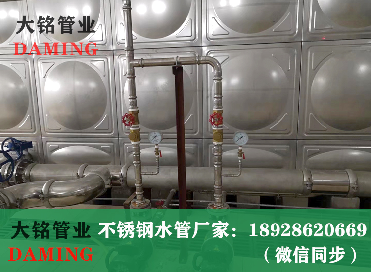 316L薄壁榴莲APP破解版安装包水管