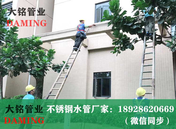 薄壁榴莲APP破解版安装包給水管