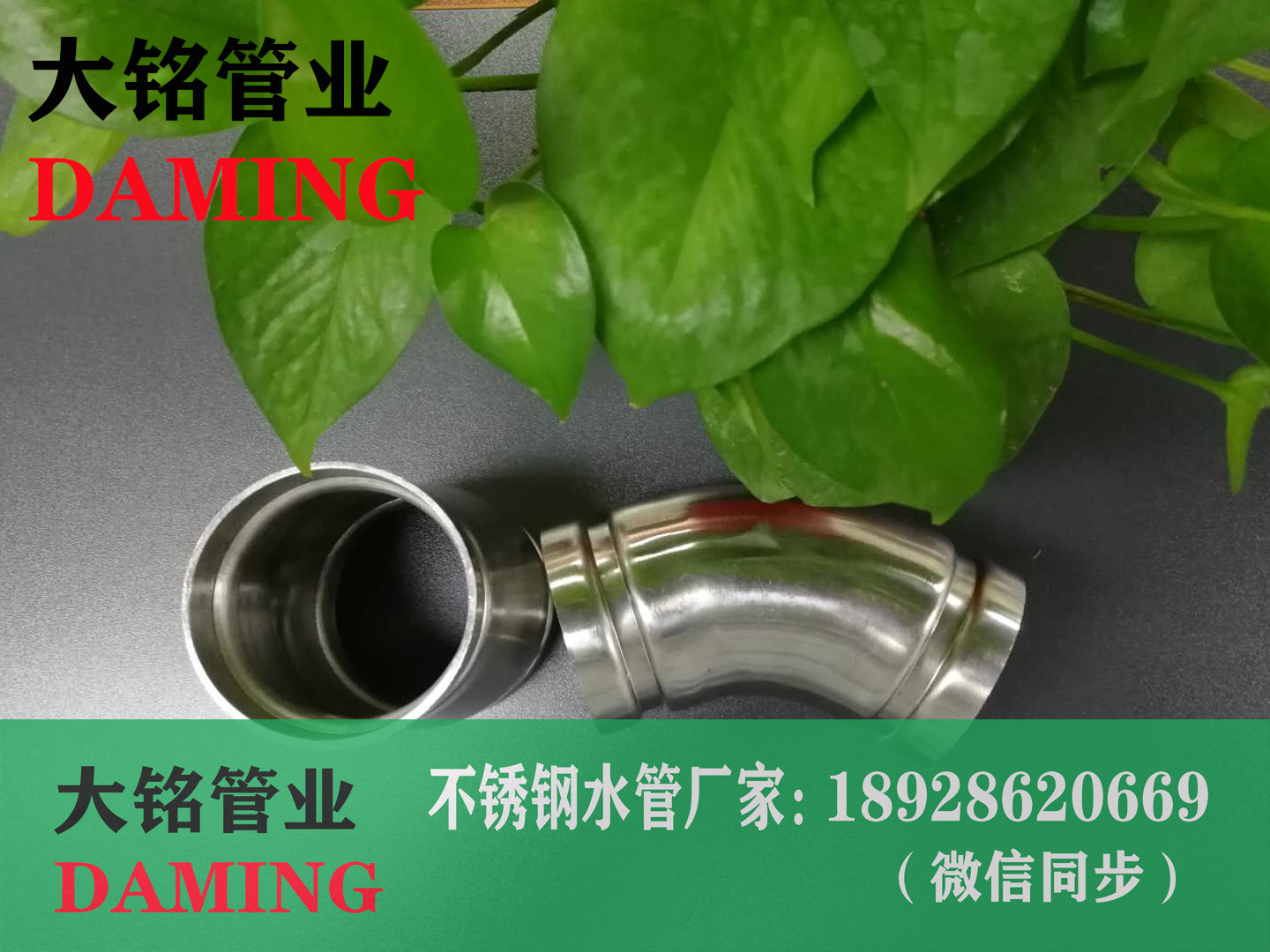 榴莲APP破解版安装包溝槽榴莲视频网站入口