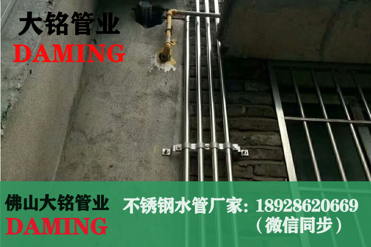 榴莲APP破解版安装包水管