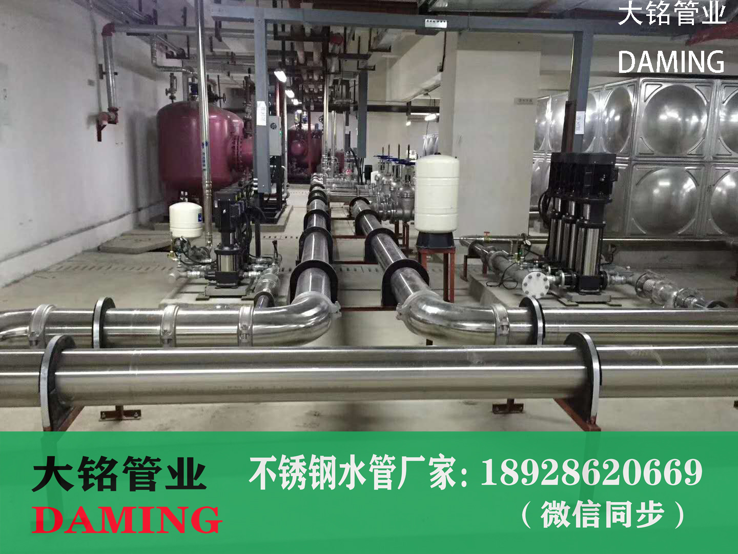 榴莲APP破解版安装包等徑四通